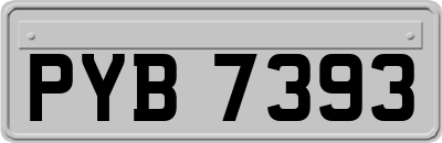 PYB7393