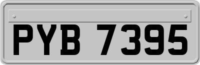 PYB7395