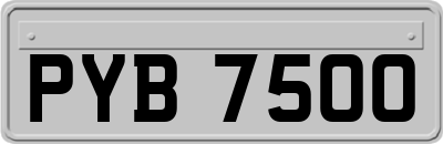 PYB7500