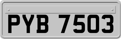 PYB7503