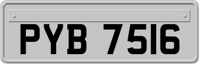 PYB7516