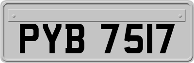 PYB7517