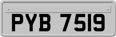 PYB7519