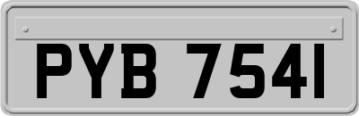 PYB7541