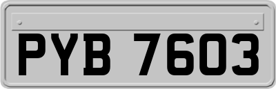 PYB7603