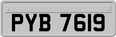 PYB7619