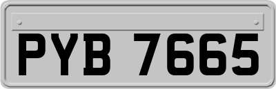 PYB7665