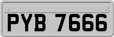 PYB7666