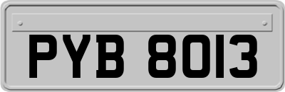 PYB8013