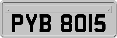 PYB8015