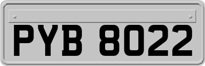 PYB8022