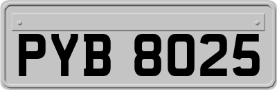 PYB8025