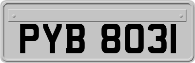 PYB8031