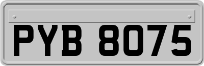 PYB8075