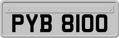 PYB8100