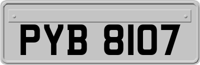 PYB8107