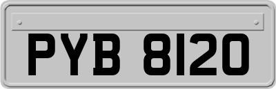 PYB8120