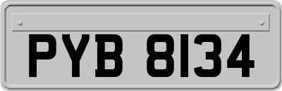 PYB8134