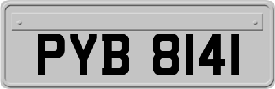 PYB8141