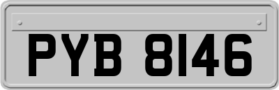 PYB8146