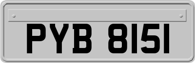 PYB8151