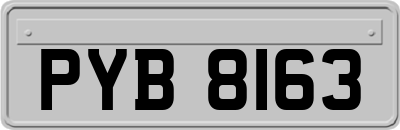 PYB8163