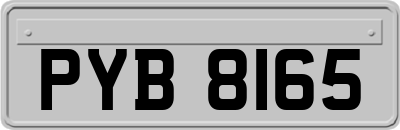 PYB8165