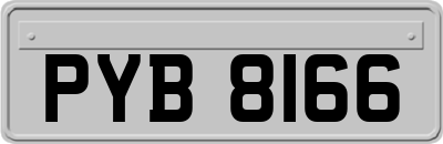 PYB8166