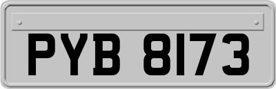 PYB8173