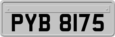 PYB8175