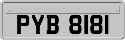 PYB8181