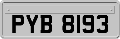 PYB8193