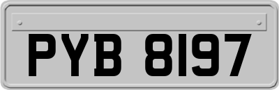 PYB8197