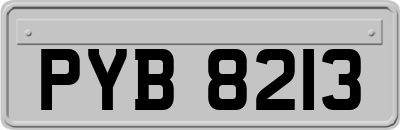 PYB8213