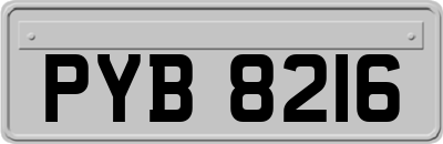 PYB8216