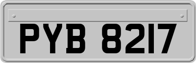 PYB8217