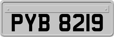 PYB8219