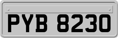 PYB8230