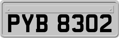 PYB8302