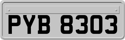 PYB8303