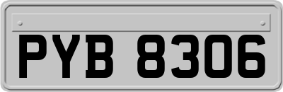 PYB8306