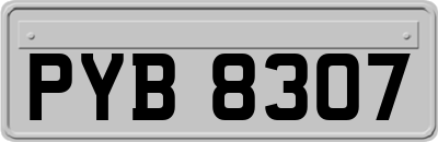 PYB8307