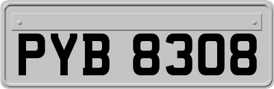 PYB8308