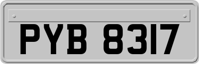 PYB8317