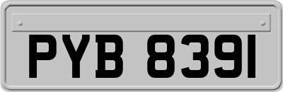 PYB8391