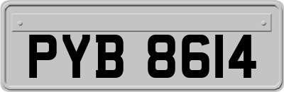 PYB8614