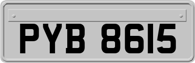 PYB8615