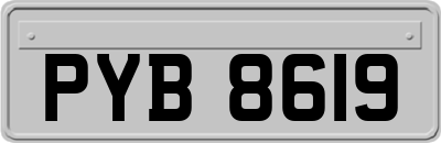 PYB8619