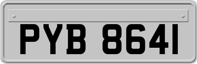 PYB8641