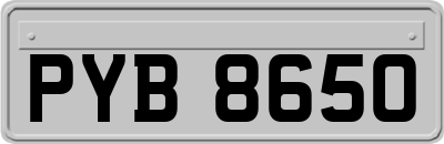 PYB8650